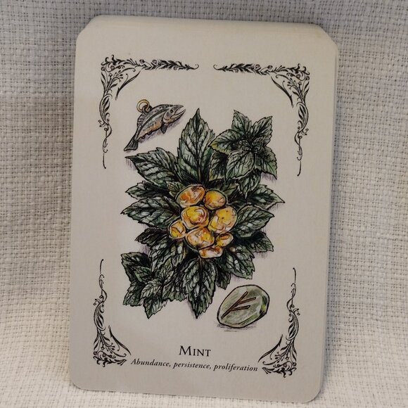 The Green Witch's Oracle Deck - Picture 7 of 14